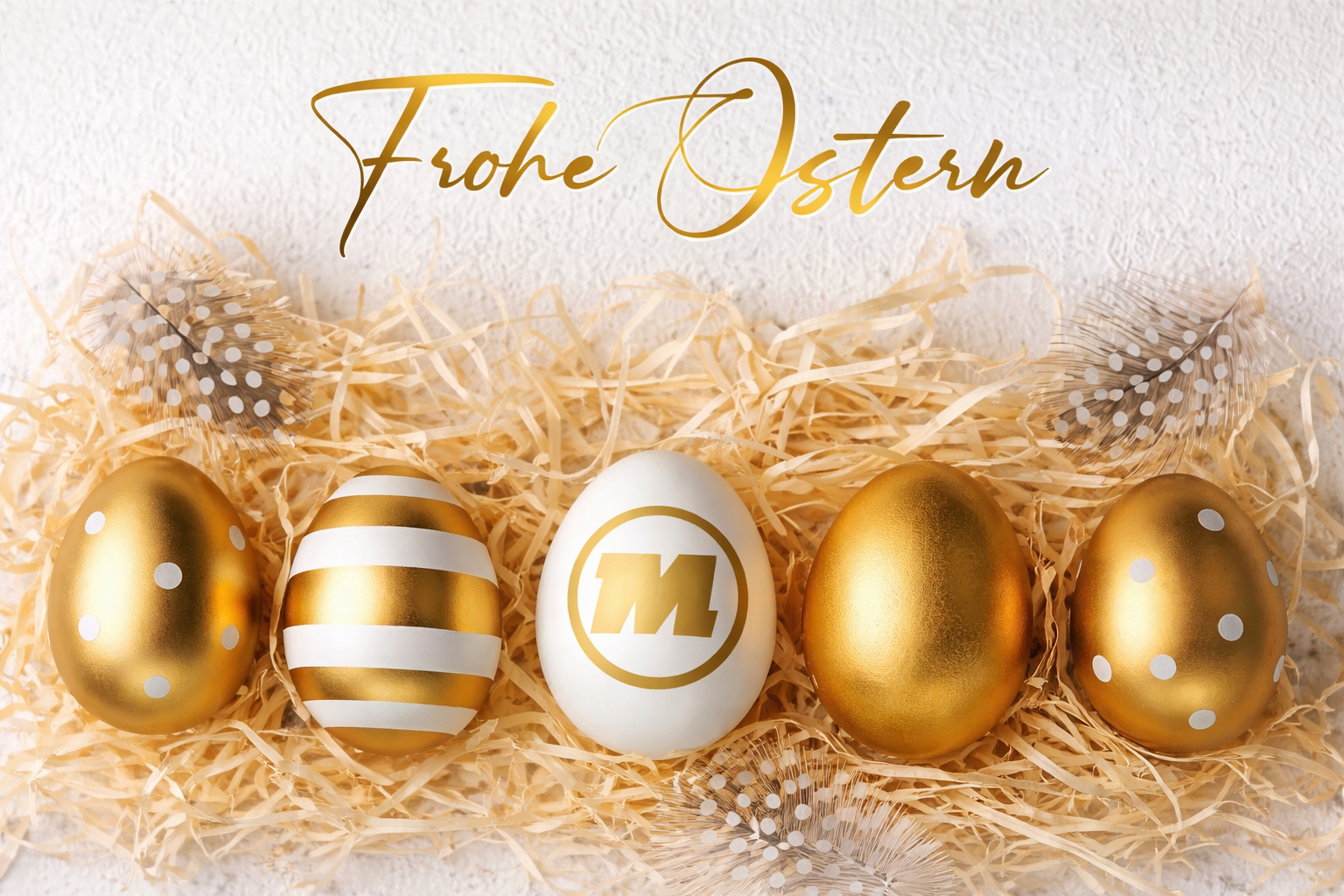 Auf die Suche, fertig, los...